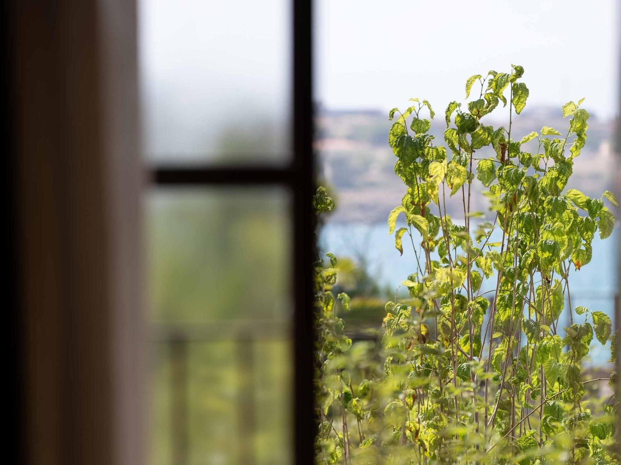 Amalen Suites Adults Only Rethymno  Luaran gambar